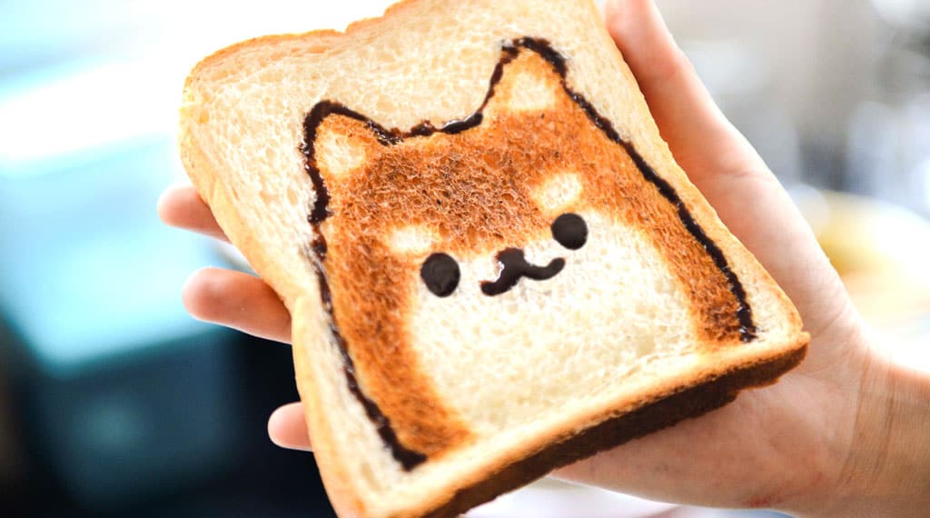 simulateur budget chien