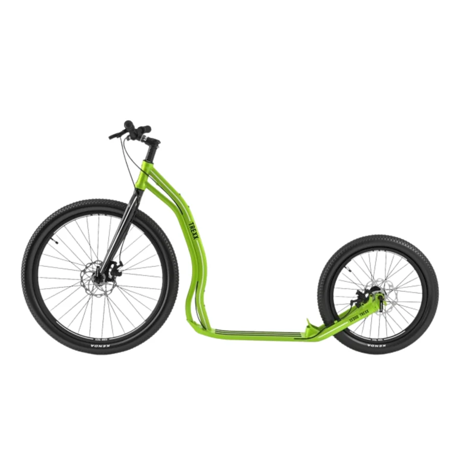 Le Cani-trottinette : l'alliance parfaite entre vitesse et complicité